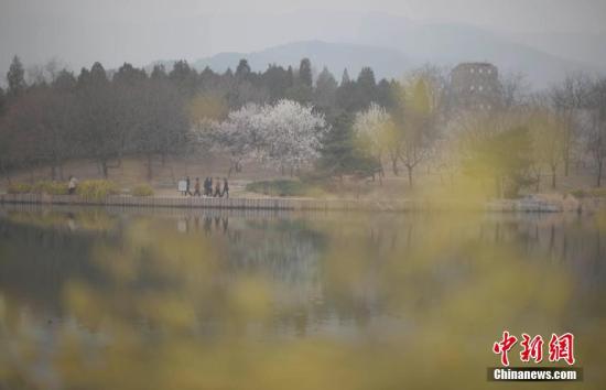 3月22日，北京遭遇雾霾天，空气质量达中度污染。图为市民在北京植物园赏春花。 <a target='_blank' href='http://www.chinanews.com/'><p align=