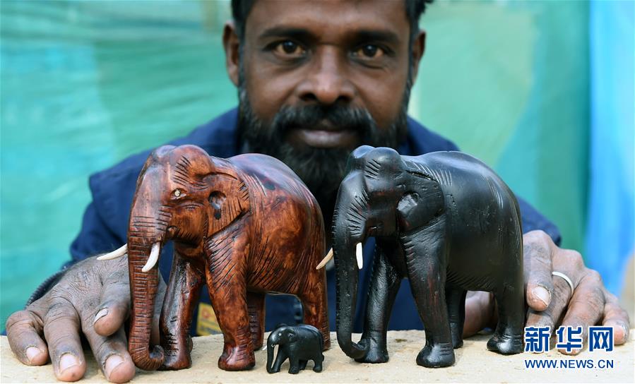2月6日，在印度哈里亚纳邦，一名男子展示木雕象。