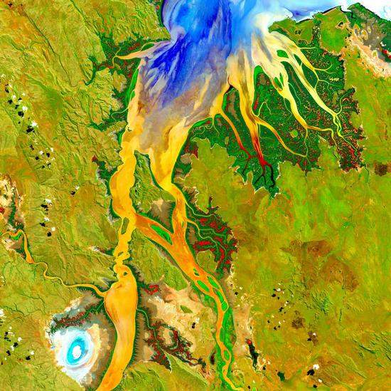 位于澳大利亚西部金伯利高原地区的奥德河河口。深绿色的红树林分布在河两岸，黄色、橘色和蓝色区域则显示河口地区的营养物质流动情况。图中的亮点（左下）是泥滩，咸水鳄的栖息地。
