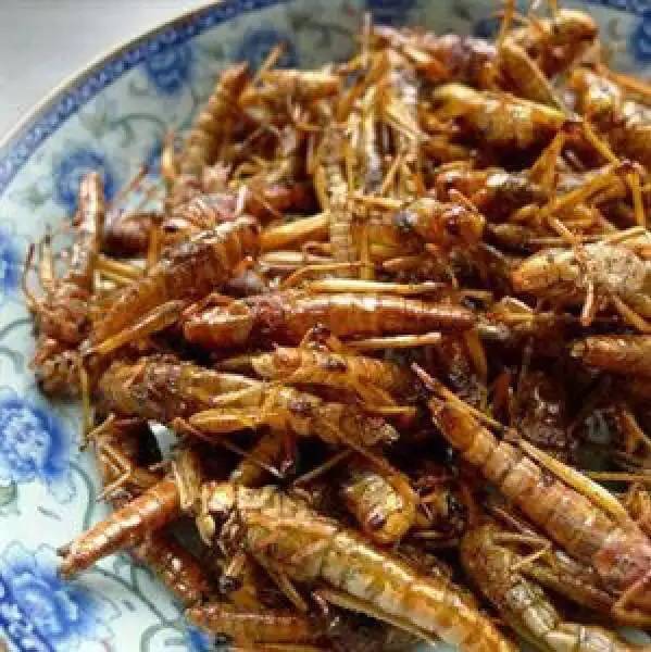 盘点中国奇葩美食 看到江苏的惊呆了！