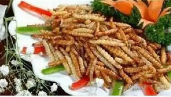 盘点中国奇葩美食 看到江苏的惊呆了！