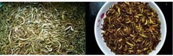 盘点中国奇葩美食 看到江苏的惊呆了！