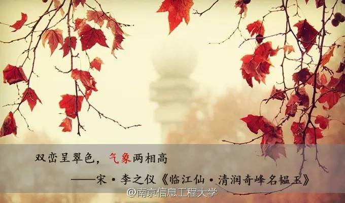 高校“飞花令”来袭,据说这个学校的最给力……