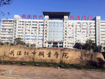 武汉城市职业学院认真贯彻落实中央和省市关于高校思想政治工作的有关