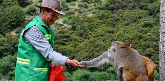 身边的平凡老师 感人的师德故事