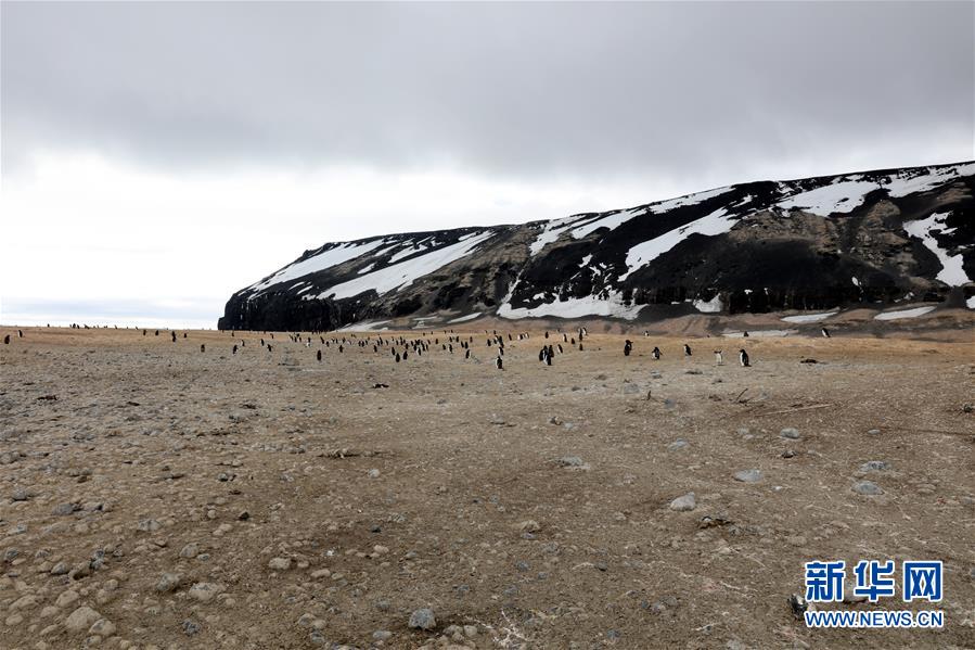 （第34次南极科考）（7）中国科考队参与修护南极历史遗迹建筑