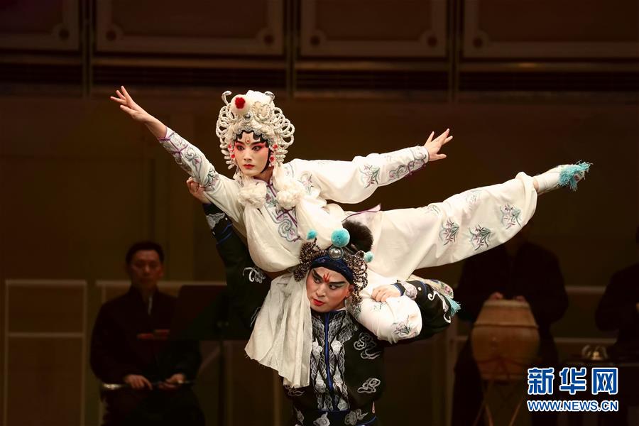 （国际）（2）芝加哥举办2018中国新春音乐会