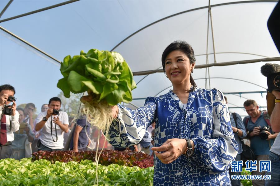 泰国前总理英拉在自家菜园见外媒记者