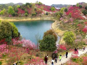 航拍江西庐山西海变花海 美如画卷