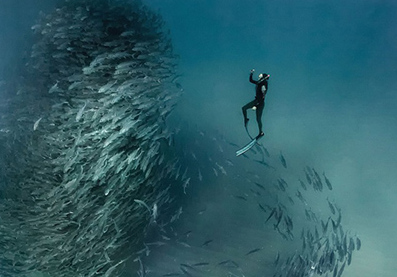 探险家 抓拍 海底 鱼群龙卷风  场面壮观-中青在