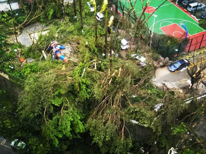 8月23日上午，珠海市一小区部分受损严重。第13号台风天鸽正面袭击珠海，狂风大作，暴雨倾盆，使珠海市遭受严重损失。视觉中国
