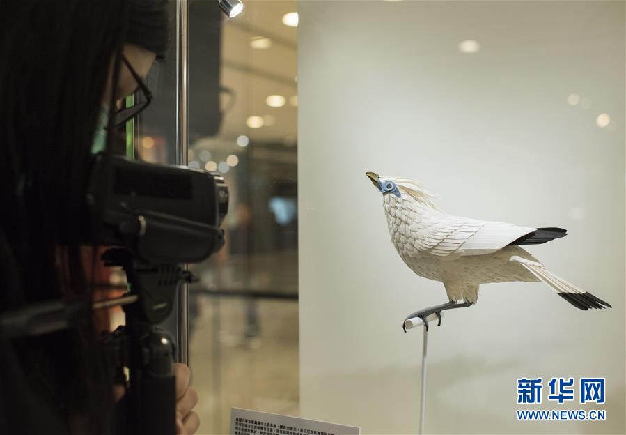 （文化）（3）“鸟语花香：纸雕艺术展”将在香港举行