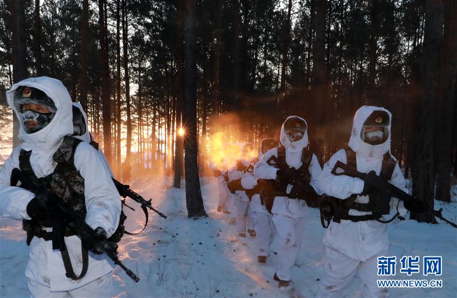 （新春走基层·图文互动）（1）北极哨兵：挺立在风雪中的“北极杨” 