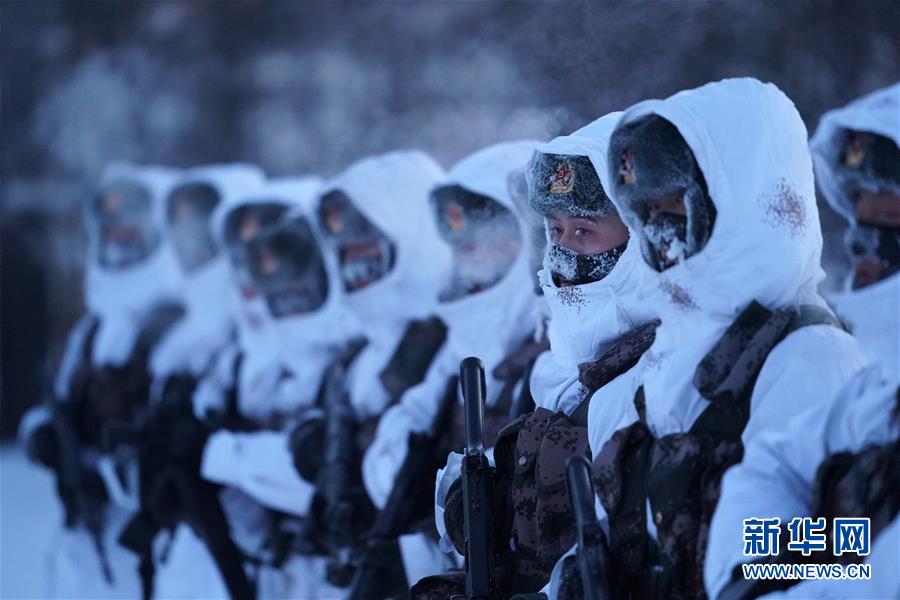 （新春走基层·图文互动）（4）北极哨兵：挺立在风雪中的“北极杨” 