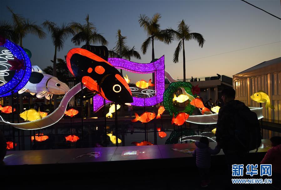 （文化）（1）香港举行春节彩灯展