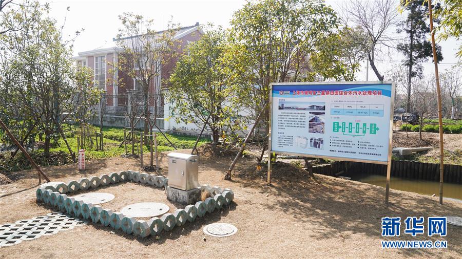 （环境）（2）上海：生物技术助力农村污水处理 