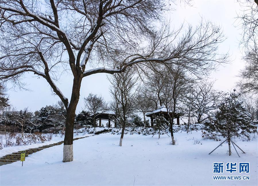 （环境）（1）雪降“北国春城”