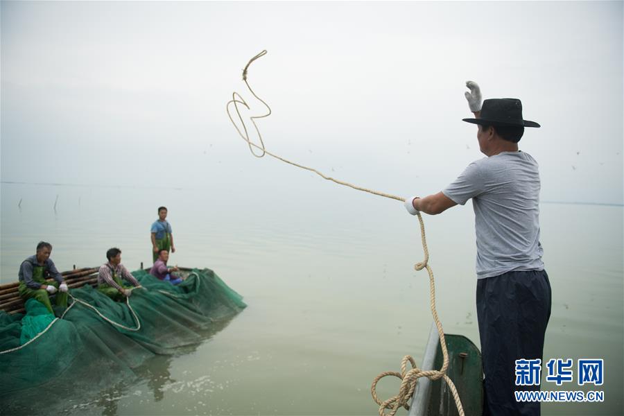 （经济）（1）湖州太湖渔民迎丰收