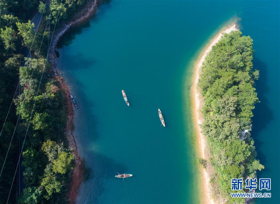 （环境）（2）千岛湖“公益船队”共护“一湖碧水”