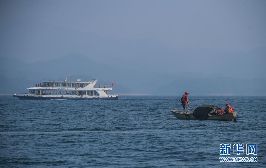 （环境）（5）千岛湖“公益船队”共护“一湖碧水”
