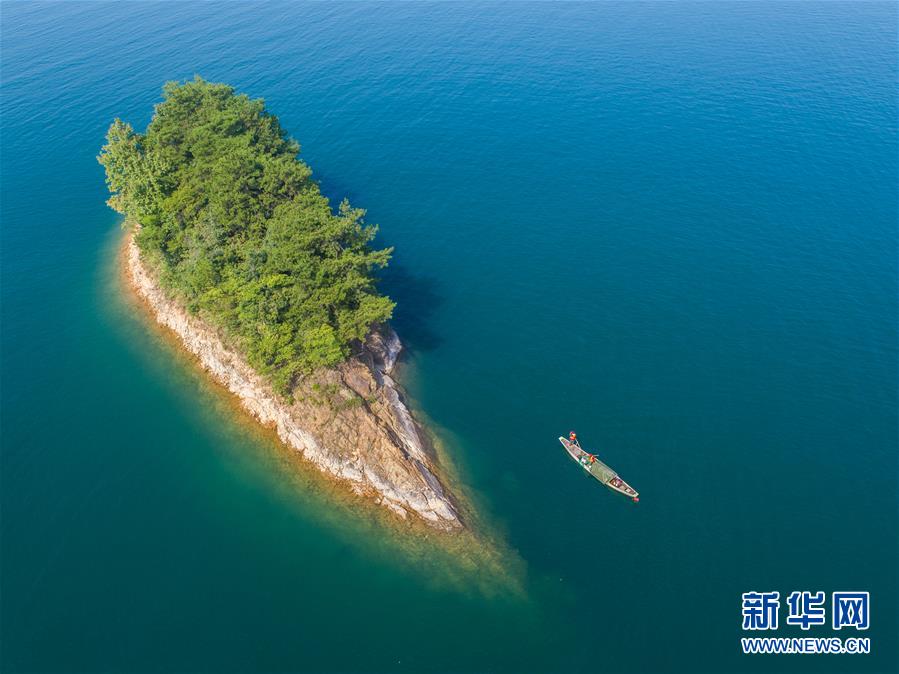 （环境）（7）千岛湖“公益船队”共护“一湖碧水”