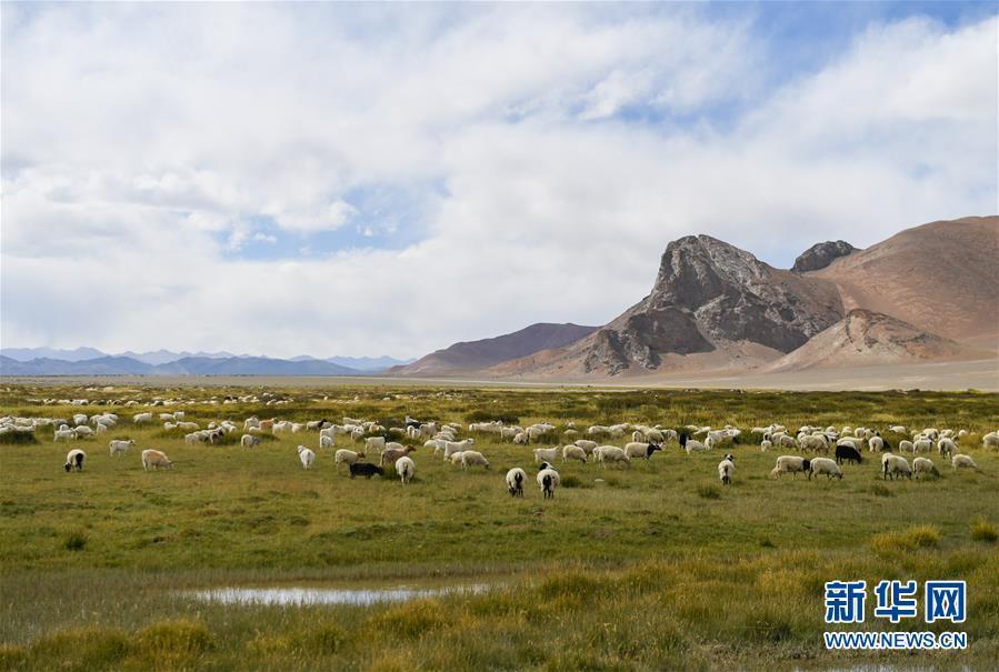 （脱贫攻坚）（5）西藏阿里：建设中的边境小康示范村