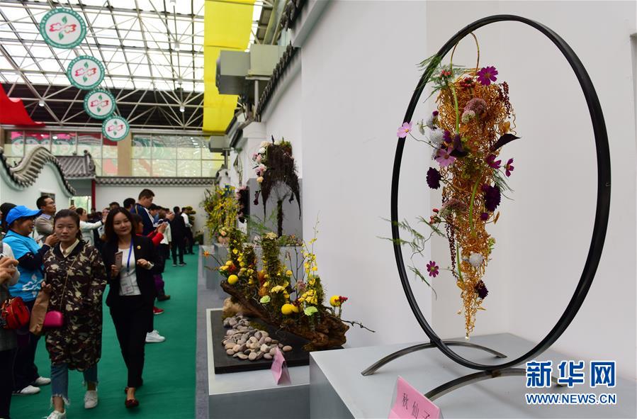 （社会）（2）第十八届中国·中原花木交易博览会开幕