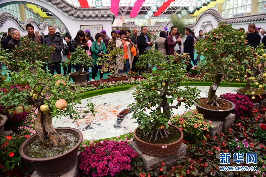 （社会）（6）第十八届中国·中原花木交易博览会开幕