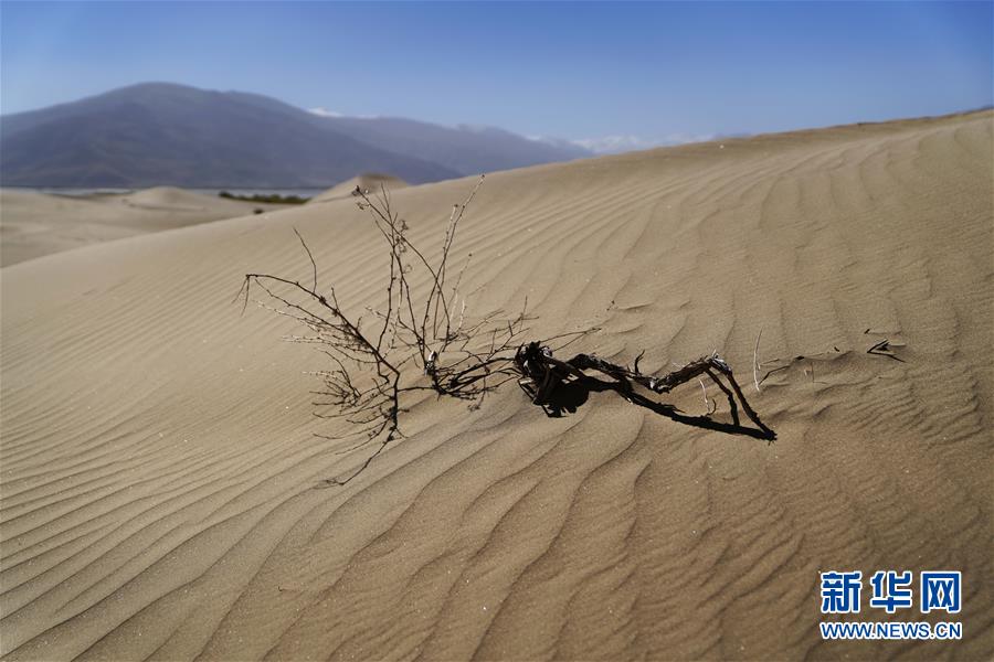 （经济）（2）西藏首个国家沙漠公园建设中