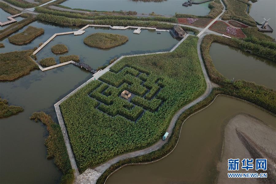 （环境）（5）杭州湾湿地的落日秋韵