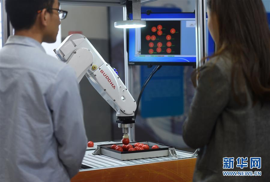 （科技）（4）杭州：机器人各显神通