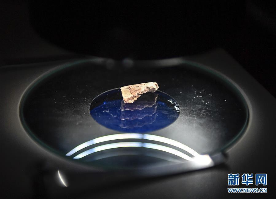 （科技）（6）吉林大学科研团队发现恐龙牙釉质波纹构造的最早记录