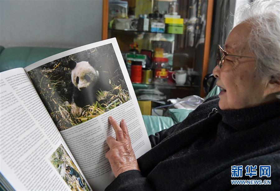 （新华网·图文互动）（3）“熊猫小姐”和世界级萌宠的故事