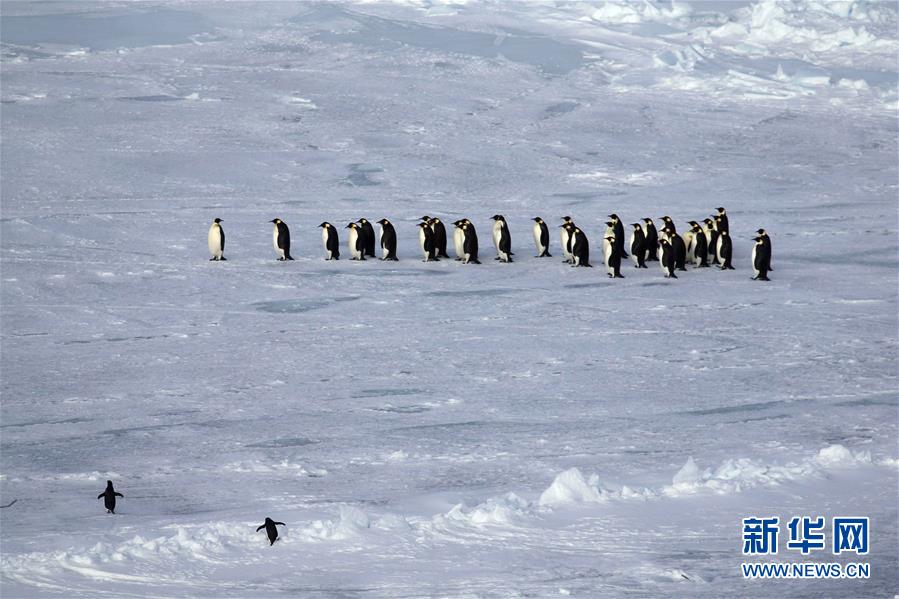 （“雪龙”探南极）（2）美丽的普里兹湾