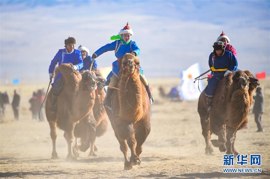（社会）（2）内蒙古乌拉特后旗举行骆驼文化旅游节