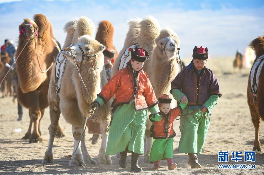 （社会）（3）内蒙古乌拉特后旗举行骆驼文化旅游节