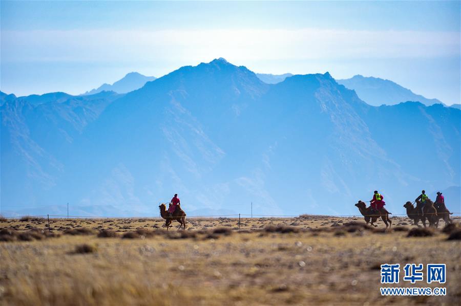 （社会）（4）内蒙古乌拉特后旗举行骆驼文化旅游节