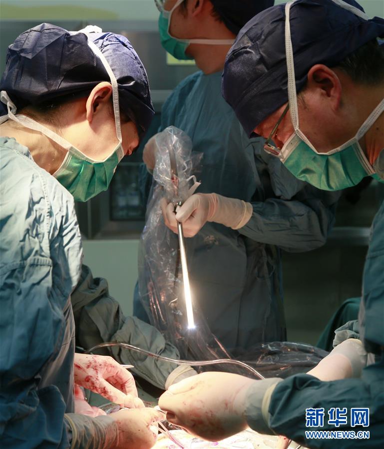 （图文互动）（4）中国首个移植子宫内孕育宝宝在西京医院出生