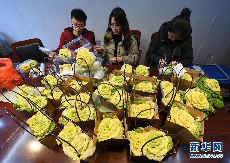 （社会）（2）南京：“玫瑰白菜”面市