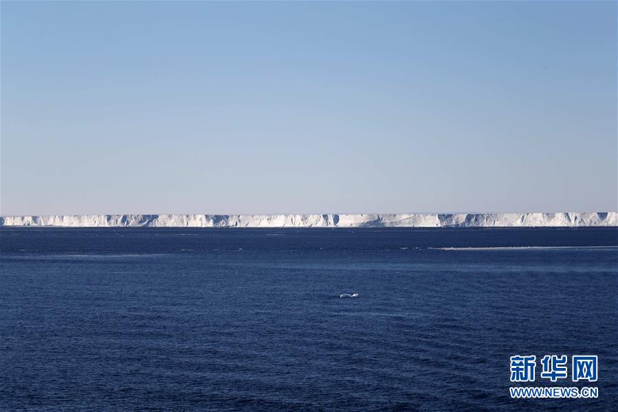 （第35次南极科考·图文互动）（2）特写：南极西冰架的冰山与动物世界 