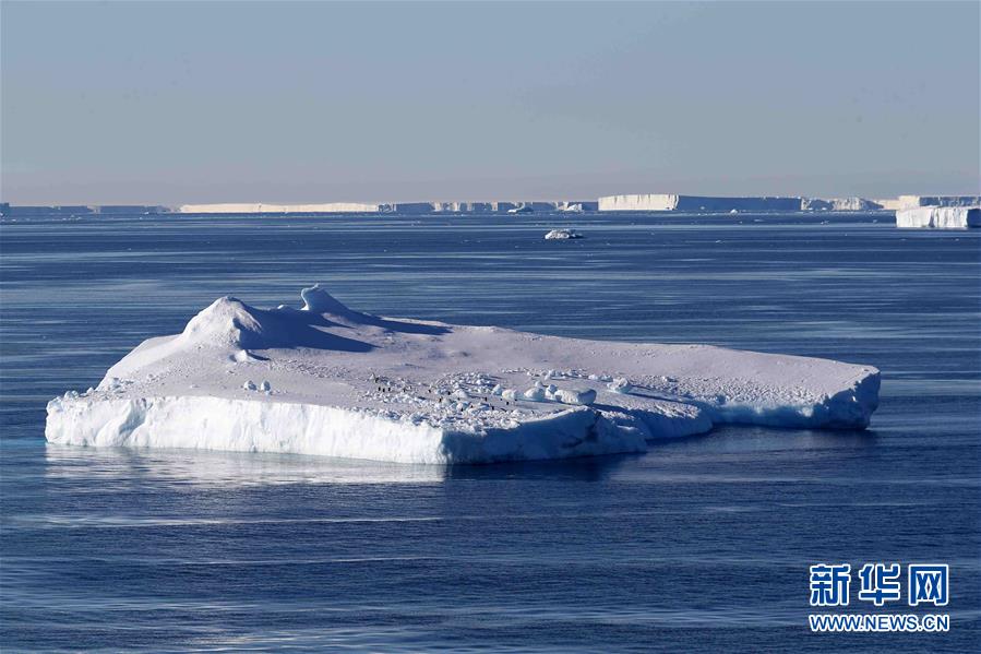（第35次南极科考·图文互动）（3）特写：南极西冰架的冰山与动物世界 