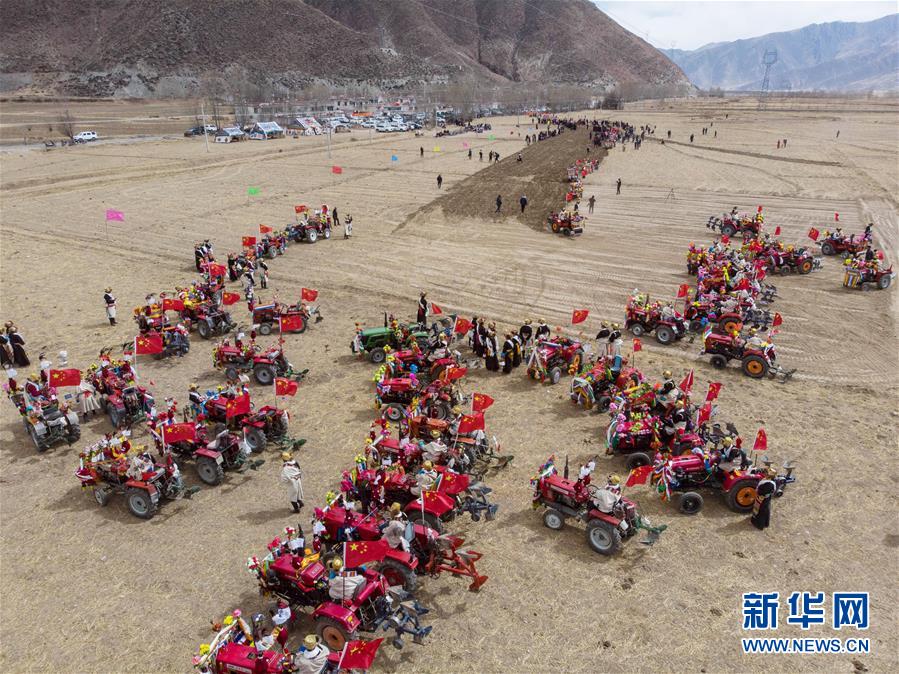 （社会）（1）西藏：载歌载舞迎开耕