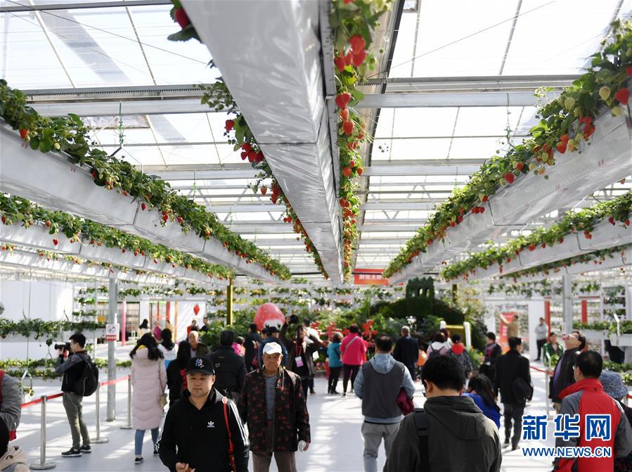 （社会）（3）第七届北京农业嘉年华开幕