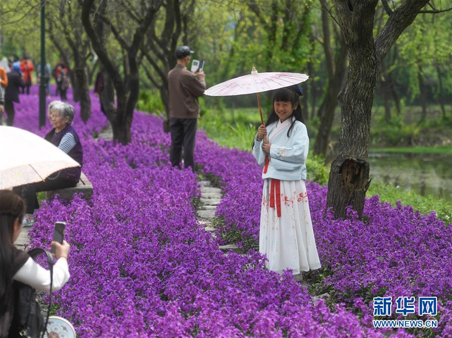 （环境）（2）2019中国杭州·西溪花朝节举行