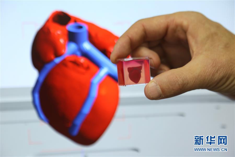 （国际）（3）以色列研究人员称3D打印出全球首颗“完整”心脏