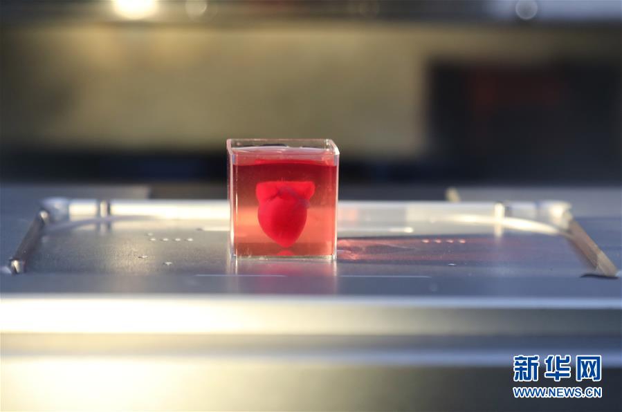 （国际）（4）以色列研究人员称3D打印出全球首颗“完整”心脏