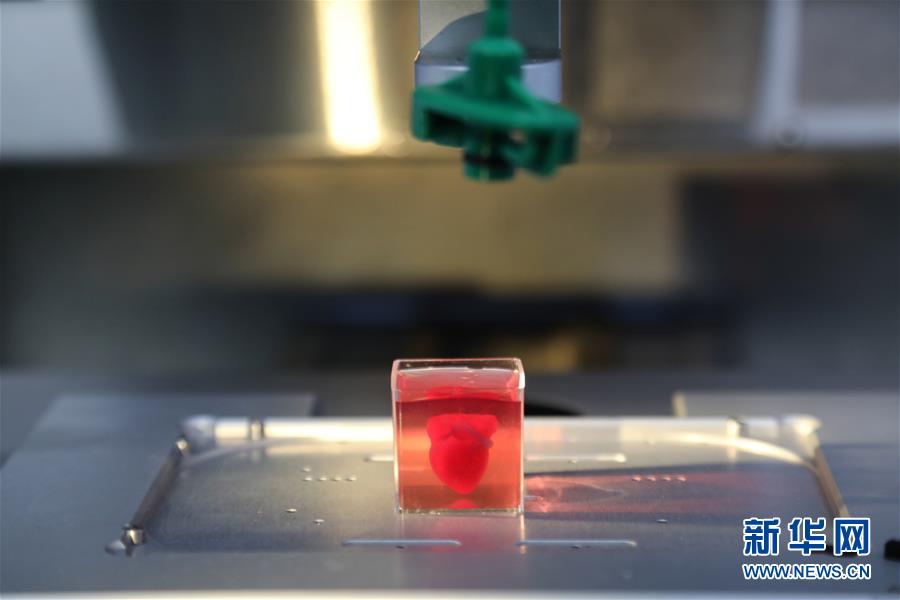 （国际）（6）以色列研究人员称3D打印出全球首颗“完整”心脏