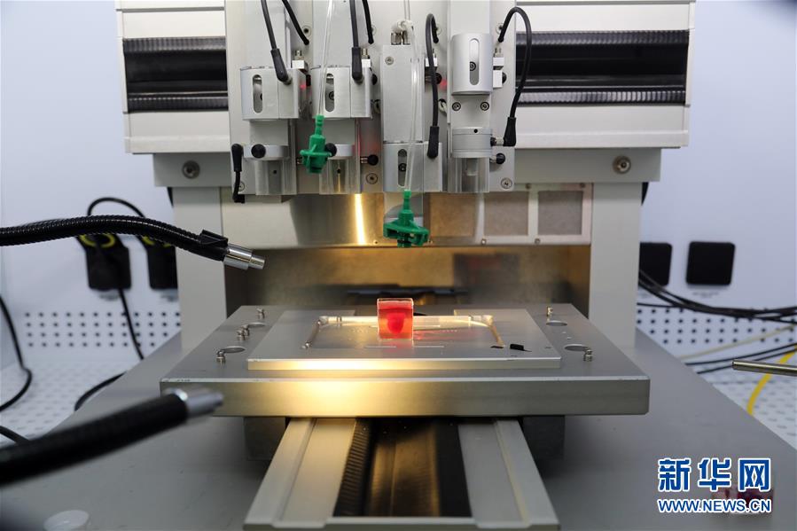 （国际）（7）以色列研究人员称3D打印出全球首颗“完整”心脏