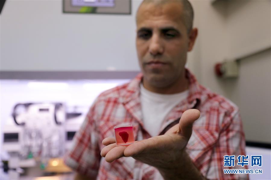 （国际）（8）以色列研究人员称3D打印出全球首颗“完整”心脏
