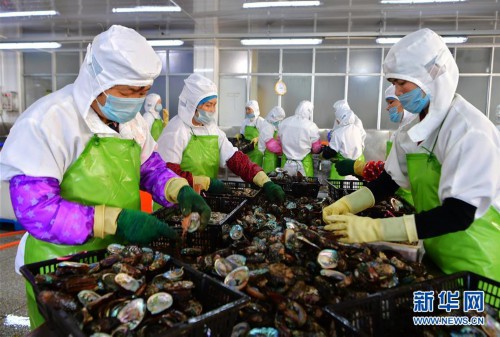 （经济）（5）福建连江：小鲍鱼 大产业